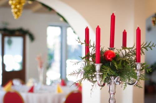 蒙大拿俱乐部旅馆 蒙大拿俱乐部旅馆