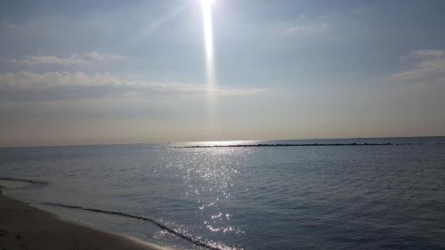 Il Mare Di Roma - image 7
