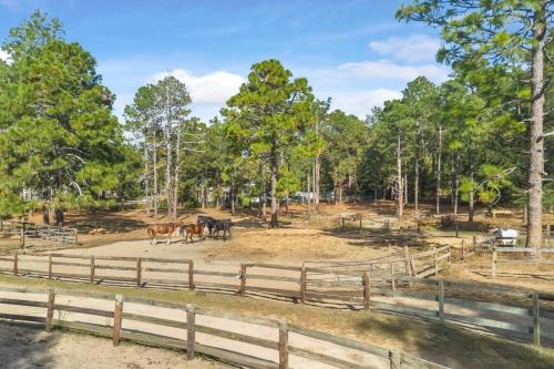 Spacious Historic Manor, Horse-Friendly