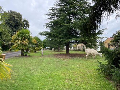 Gîte 2 à 5 personnes, spa, sauna, piscine chauffée, parking gratuit Gîte 2 à 5 personnes, spa, sauna, piscine chauffée, parking gratuit