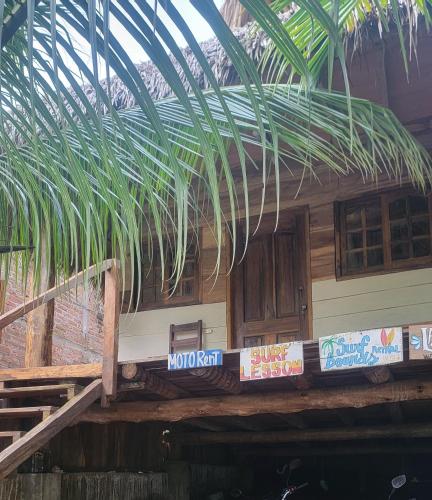 . Coconut Surf