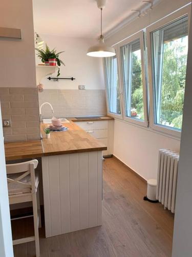 ห้องครัว, Charming Studio Retreat in the Heart of Zagreb in ซาวิกา