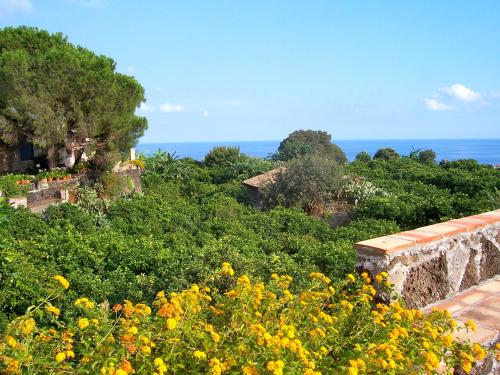 Il Limoneto Acireale 