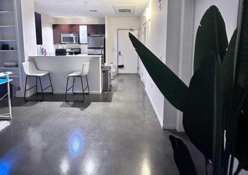 1 br spacious in Hollywood in Los Angeles, USA