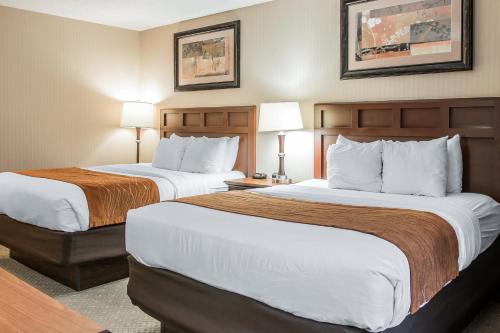 Comfort Inn Traverse City - Accommodation