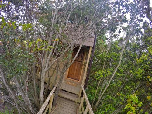 La Casa Del Árbol De Chiloé