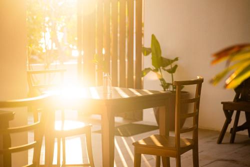 Restaurant, Zen Inn Fulhadhoo in Goidhoo Atoll
