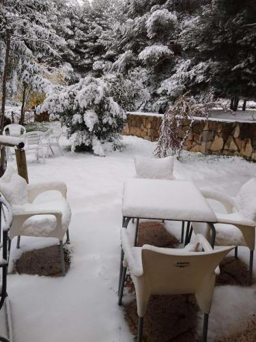 Hotel Rural Alto Gredos - image 13