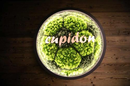 . Pensiunea Cupidon