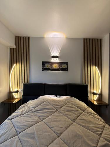 90m2 hyper centre Sauna, Strasbourg (photo 10)