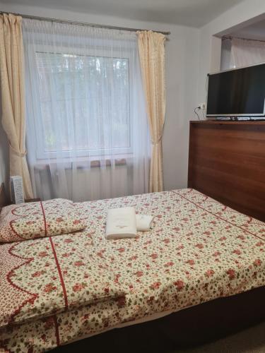 Przystań Wodna Brody Przystań Wodna Brody