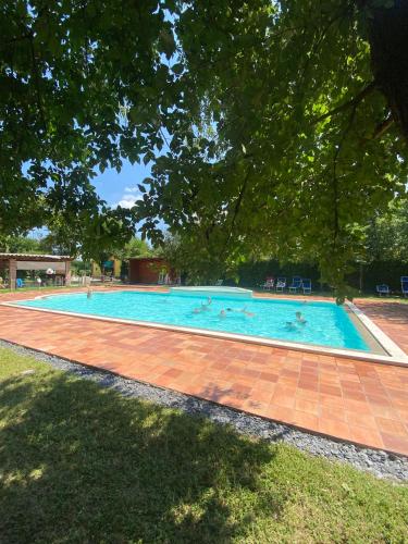 Peldbaseins, Agriturismo La Buona Terra Bio in Cervarese Santa Croce