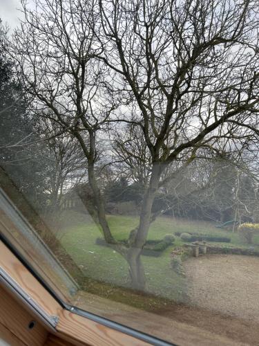 The Studio, Bottom Farm, Grantham (fotografie 10)