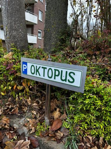 Oktopus, Neustadt in Holstein (fotografie 7)