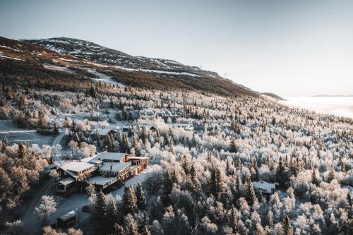 Buustamons Fjällgård - main image