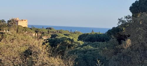 Villa Romana - Tap to explore photos
