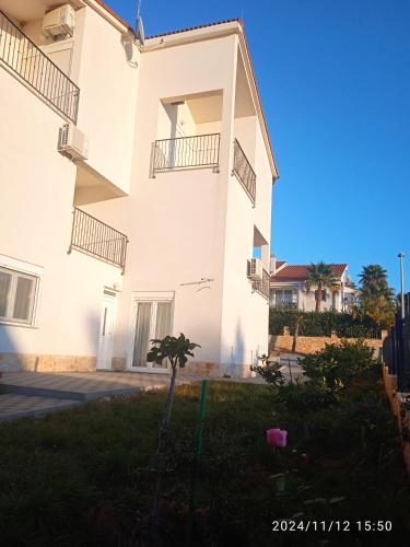 Apartments Jela