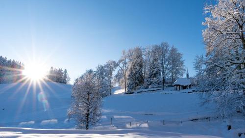 Hotel Kesslermühle - image 4