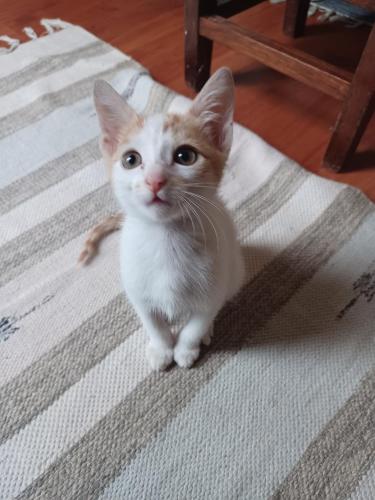 A Tranquil Stay A Tranquil Stay