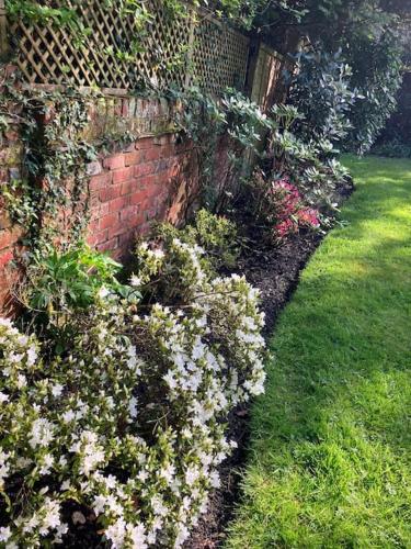 Luxury cottage in the heart of The New Forest