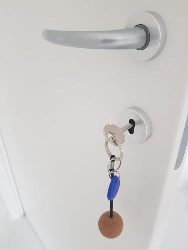 Roma - Casalpalocco - Amipsia