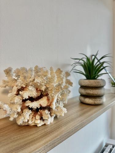 Sydney - studio avec loggia, accès direct plage Sydney - studio avec loggia, accès direct plage