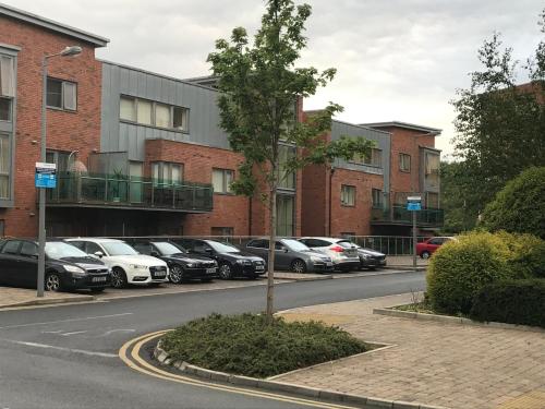 Central Dublin 2-Bed Apartment -Sleeps 5 & Parking, Dublin (fotografie 10)