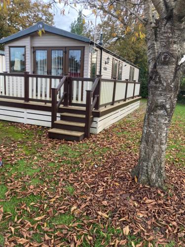 3 bedrooms, 5 beds