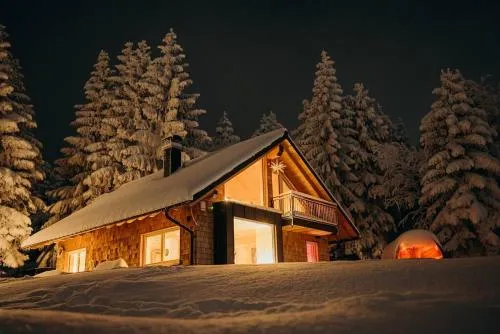 Altenberg - Haus an der Loipe in Kurort Altenberg, Deutschland