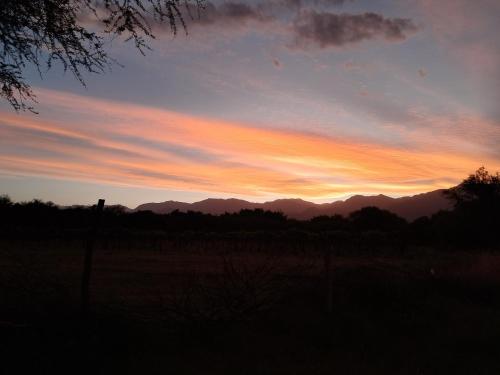 Campo Domingo in ตินอกาสตา