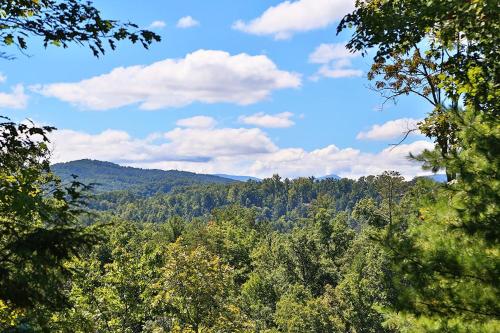 Dare To Bear #238 by Aunt Bug's Cabin Rentals - image 9