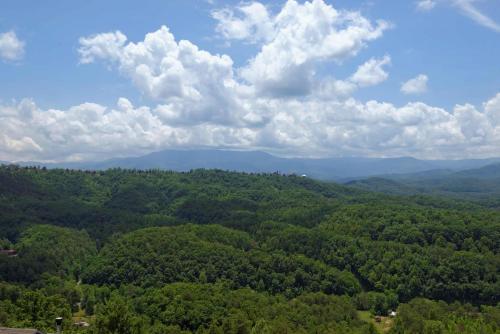 Amazing View #223 by Aunt Bug's Cabin Rentals - image 10