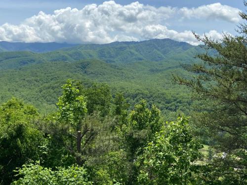 Mountain Splendor #448 in Gatlinburg, USA