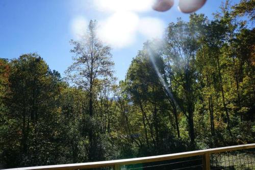 Foothills - Lrg Private Cabin - HotTub - Fireplace & Pit - Gburg 7min in Gatlinburg, USA