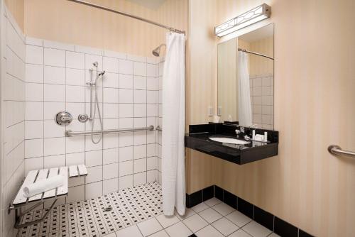 Queen Studio with Sofa Bed and Roll-in Shower - Mobility Accessible