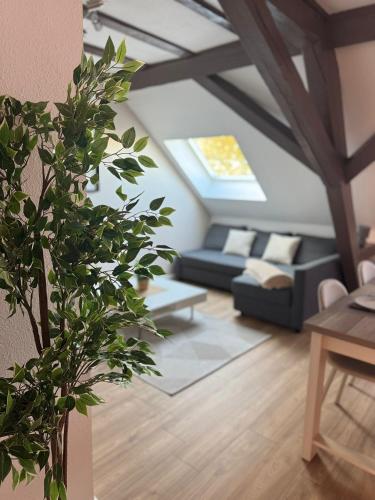 Létesítmények, Le Cocon de l'Arc, parking free in Mulhouse Városközpont