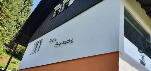 Haus Panorama mit Alpenblick in Kleines Wiesental, Deutschland