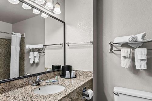 Best Western Sherwood Inn & Suites - image 7
