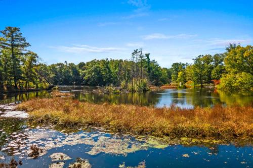 Antiquing and Fishing Riverfront Waupaca Home! Antiquing and Fishing Riverfront Waupaca Home!