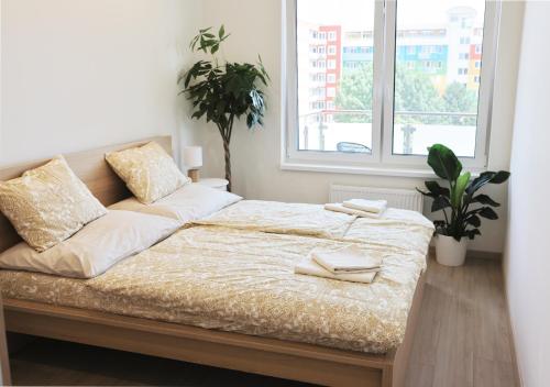 Two Room Apartment Bratislava Check in -B Two Room Apartment Bratislava Check in -B