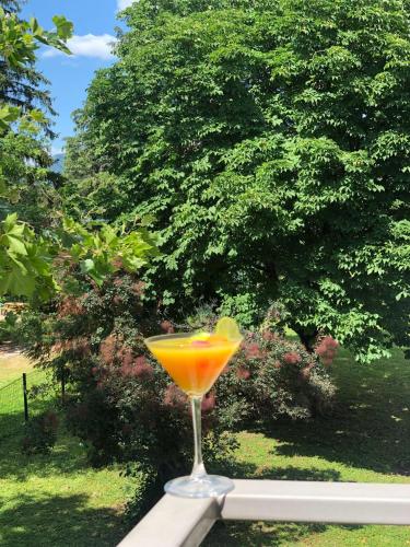 RnG-M in อชิโรเรส