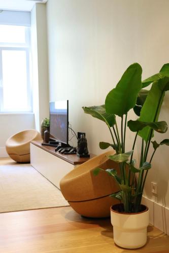 Best room Center Lisbon, Lisbonne (photo 10)