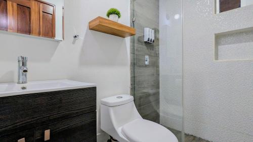 Nuevo Departamento acojedor en Puerto vallarta, Versalles in Puerto Vallarta, Mexico