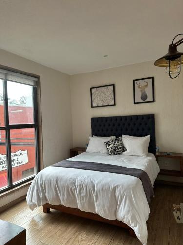 Hotel Del Valle in Hidalgo