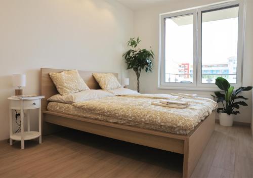 Two Room Apartment Bratislava Check in -A Two Room Apartment Bratislava Check in -A