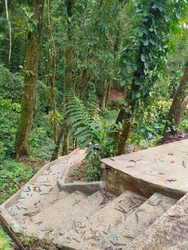Chalé do Bosque em Ubatuba (Chale do Bosque em Ubatuba) in Praia Pereque-Mirim