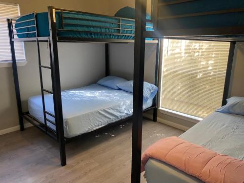 Haystack Hostel in Houston, USA