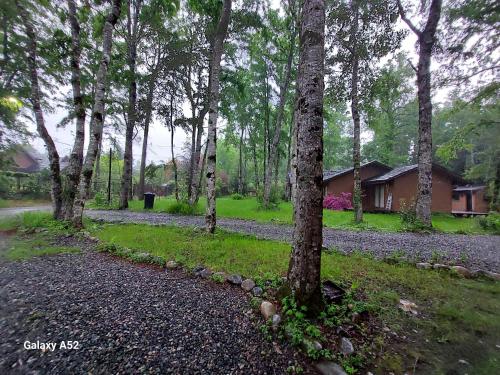 Cabañas privadas Pucon (Cabanas privadas Pucon) in Candelaria
