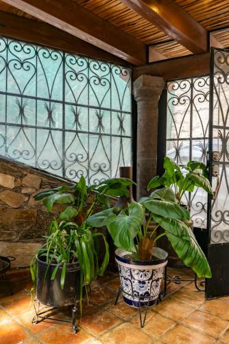 บริการและสิ่งอำนวยความสะดวก, Villa Mosaico - Luxury Lofts in เรอัล เด กาตอร์เซ