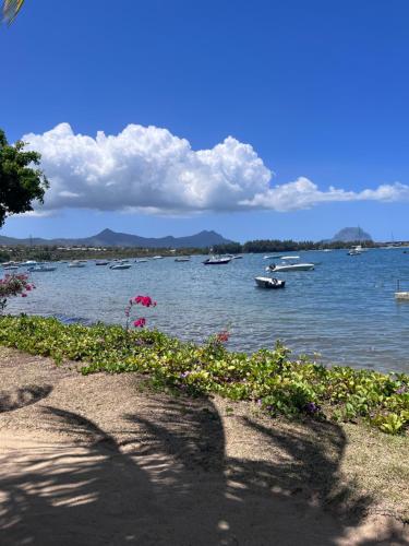 Latitude Sea Front Luxury Apartment